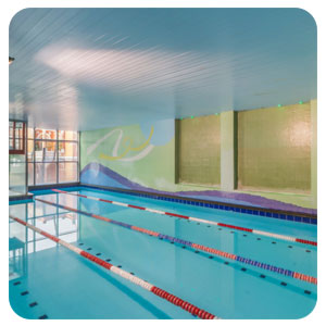 tour virtual google 360