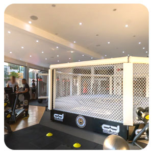 tour virtual google 360