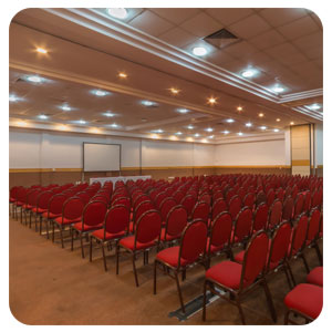 tour virtual google 360