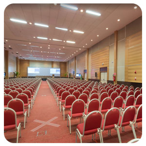 tour virtual google 360