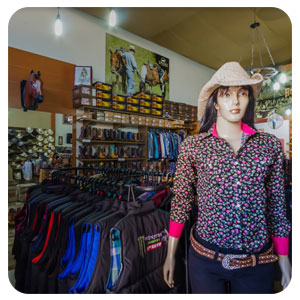 tour virtual google 360