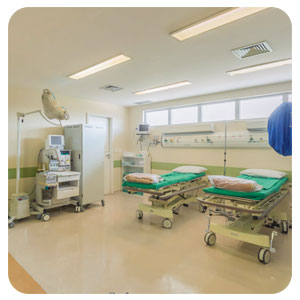 tour virtual google 360