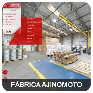 tour virtual 360 google