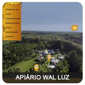 tour virtual 360 google