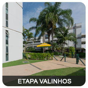 tour virtual 360 google