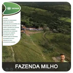 tour virtual 360 google